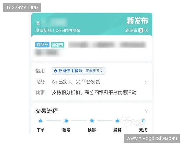 PG游戏交易平台官网的交易流程详解，帮助玩家高效完成虚拟物品买卖